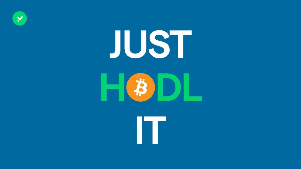 Chi sono i crypto hodler? Il significato di hodl spiegato