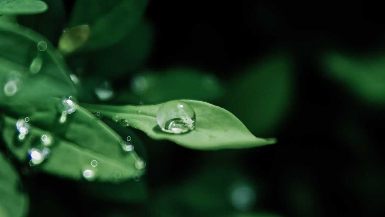 Come funziona il Liquid Staking