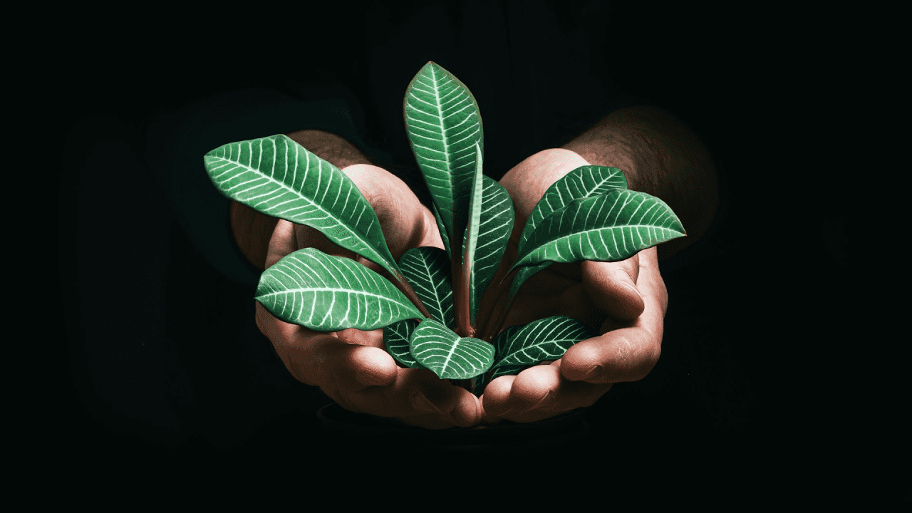 ESG e sostenibilità: l’investimento etico verso un futuro incerto?