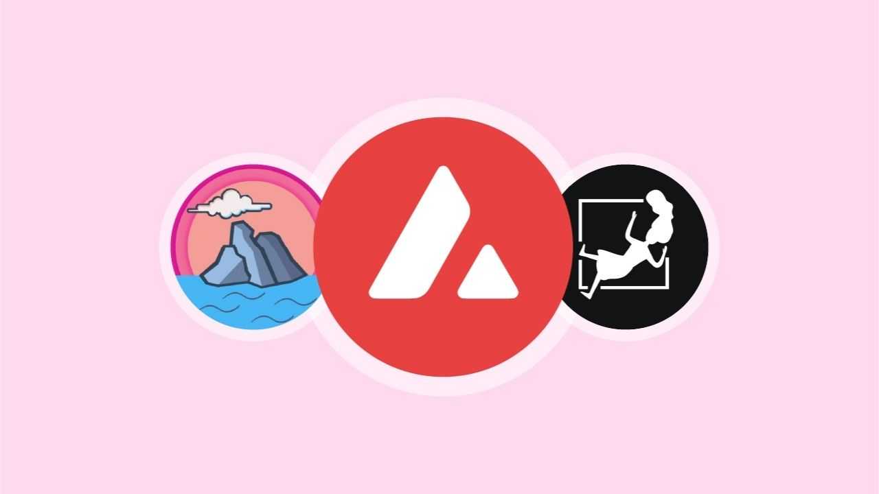 Avalanche : airdrop de Islander et DeFi sur Wonderland