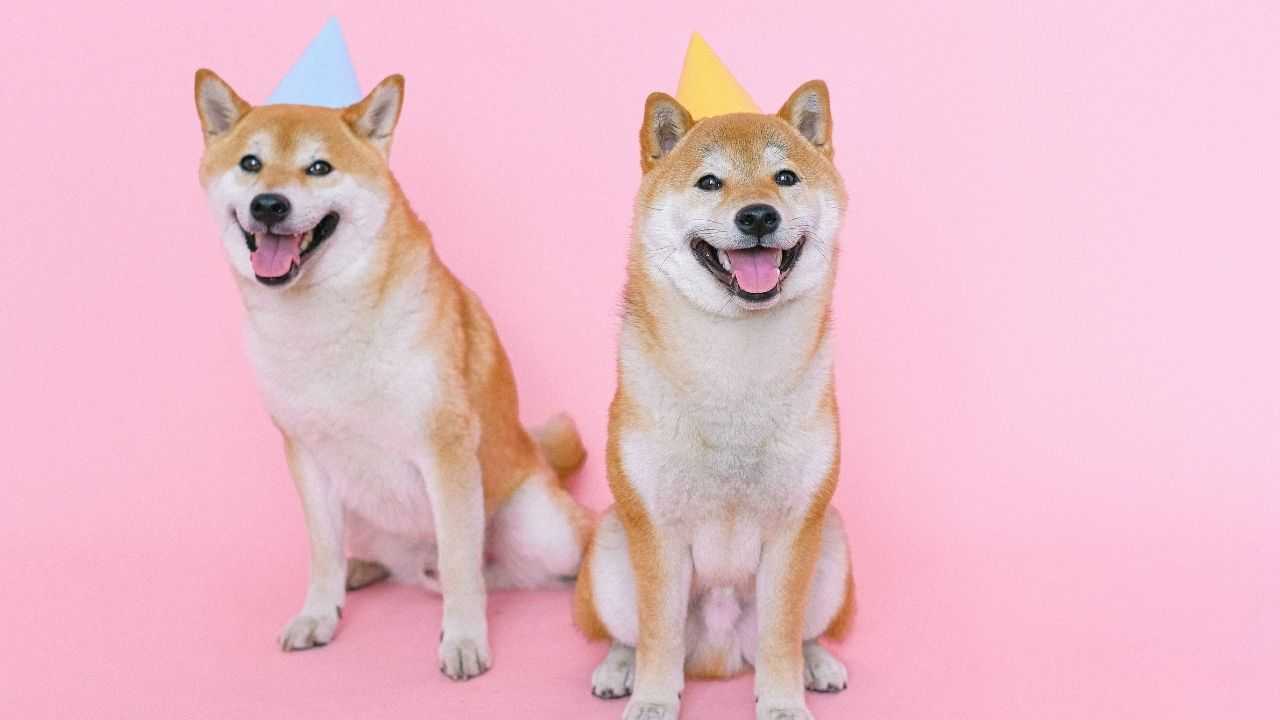 Dogecoin registra il suo marchio crypto anti truffe